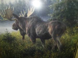 Framed Print, In His Domain, Robert Duncan