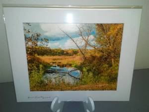 Field and Marsh Photos by Bill Sparke, Landscape