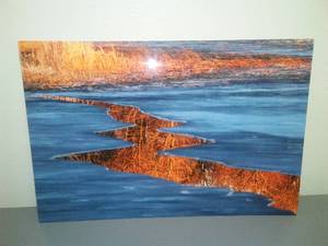 Nature with Special Effects, Jim Sinclair