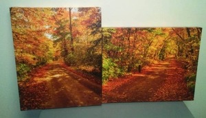 Canvas Photographs (2) - Minnesota Autumn.