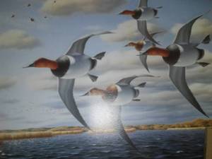 Numbered Print, John House - Bankin Hard Canvasbacks.
