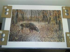 Numbered Print, Patrick Gibbs -Estrus, 83 2500.