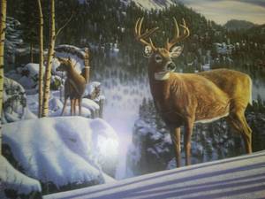 Numbered print, Kim Norlien- Morning Veiw.