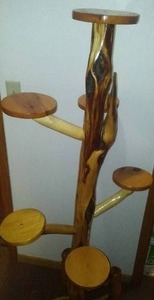 Log tree plant stand