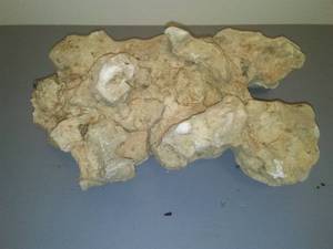 Saltwater Aquarium Live Rock