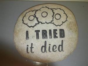 Garden Rock - I tried it died.
