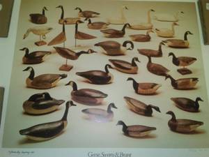 Numbered Print - Geese, Swans & Brant