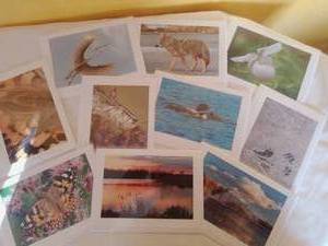 Wilderness Cards (10) Blank Inside.