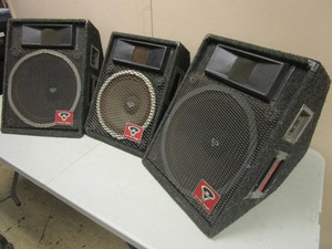 CERWIN-VEGA WEDGE MONITORS