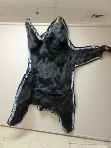 lot 203 image: GORGEOUS BEAR RUG TRIMMED IN GRAY FELT