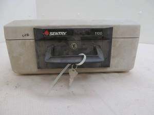 lot 60 image: Sentry 1100 safe