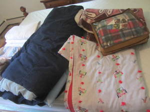 lot 200 image: Bedding, Pendleton Wool