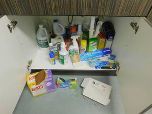 lot 410 image: Cleaning Supplies