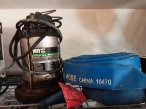 Wayne 34 Hp Sump Pump With 2-1 12 Discharge Hoses