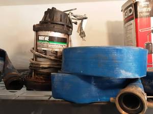Wayne 34 Hp Sump Pump With 2-1 12 Discharge Hoses