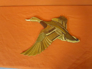 Duck 25x19