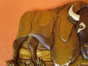 Buffalo Scene23x14