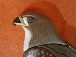 Falcon 12x12