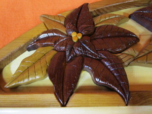 Flowers 9x29