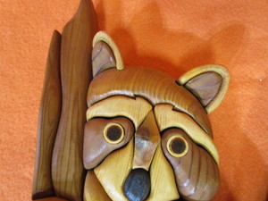 Raccoon in Tree 10x21