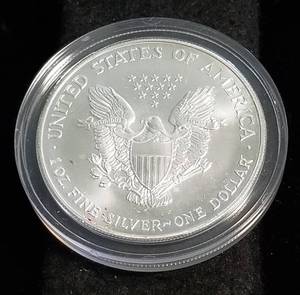 1999 COLORIZED AMERICAN SILVER EAGLE 1 TROY OZ. .999 FINE SILVER IN AIRTITE