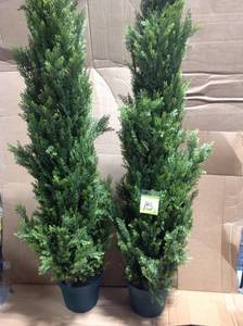 lot 15 image: National Tree Arborvitae Tree with Dark Green Round Plastic Pot, 72-Inch