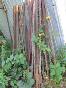 lot 71 image: Steel T-Posts