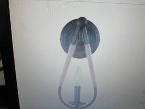 Meridian Lite 1-Light Sconce in Art...