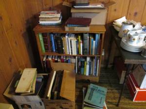 Books (bookshelf not included)