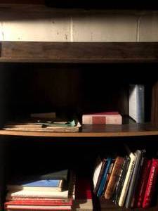 Tall wood bookcase and books