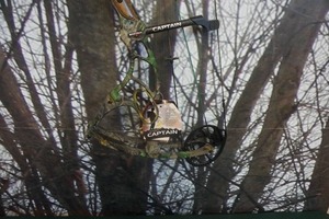 lot 1 image: Bowtech Model Captain Compound Bow
