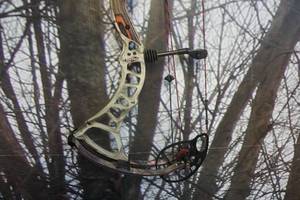lot 2 image: Bear Archery Model Carnage Real Tree Camo Compound Bow