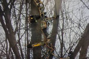 lot 3 image: Bowtech Model Insanity CPX Compound Bow