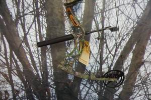 lot 6 image: Bowtech Model S.W.A.T. Compound Bow