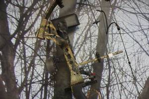 lot 10 image: Bowtech Model Tomkat Compound Bow