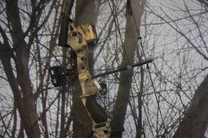 lot 11 image: Bear Archery Model Attack APG Compound Bow