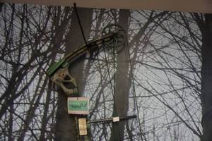 lot 12 image: Bear Archery Model Instinct Compound Bow