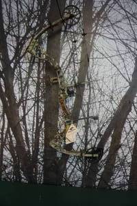 lot 14 image: Diamond By Bowtech Model Stud Compound Bow