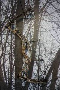 lot 15 image: Hoyt Model Alpha Max Compound Bow