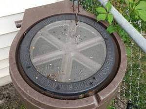 lot 315 image: Rain Catcher Barrel