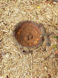 lot 322 image: Petit Iron Bird Bath