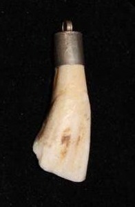 Feeling Unconventional  How About A Buffalo Tooth Pendant