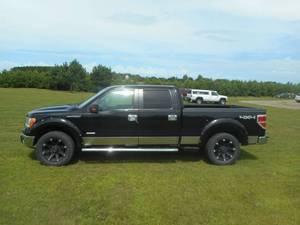 2011 Ford F150 XLT 4x4