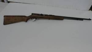 Springfield Automatic 22 Rifle