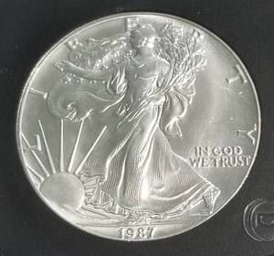 1987 AMERICAN SILVER EAGLE 1 TROY OZ. .999 FINE SILVER BLACK SLAB