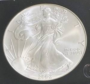 2002 AMERICAN SILVER EAGLE 1 TROY OZ. .999 FINE SILVER BLACK SLAB