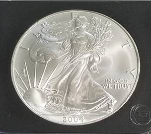 2004 AMERICAN SILVER EAGLE 1 TROY OZ. .999 FINE SILVER BLACK SLAB