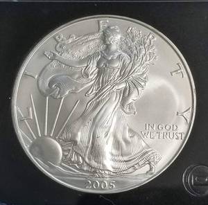 2005 AMERICAN SILVER EAGLE 1 TROY OZ. .999 FINE SILVER BLACK SLAB