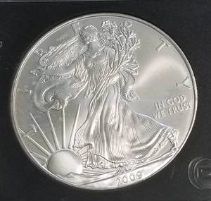 2009 AMERICAN SILVER EAGLE 1 TROY OZ. .999 FINE SILVER BLACK SLAB