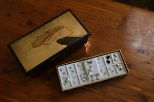 lot 25 image: Set of fashion jewelry and Japanese jewelry box